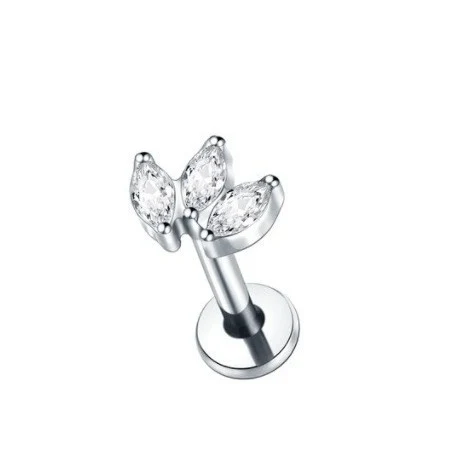 Crown oorknopjes van puur titanium met interne schroefdraad, kettinghanger, labret piercing en klaverblad oorbel.