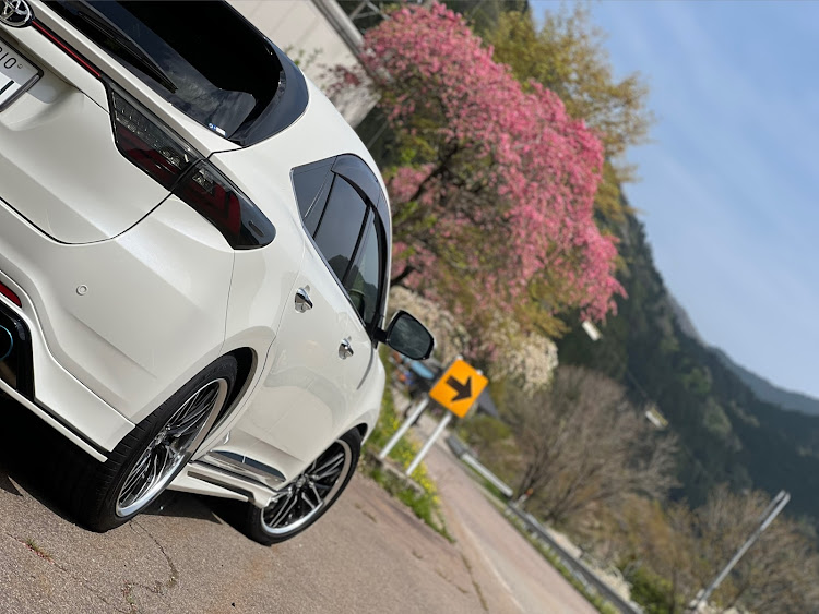 ハリアーの愛車の横顔・お題に乗っかってみた・ドライブ・車高調整・小川の花桃に関するカスタム事例の投稿画像11枚目