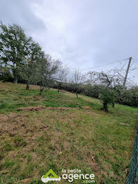 terrain à Charenton-du-Cher (18)