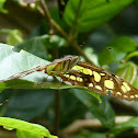 Malachite