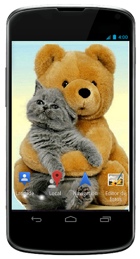 Cats Live Wallpaper