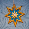 Town Star icon