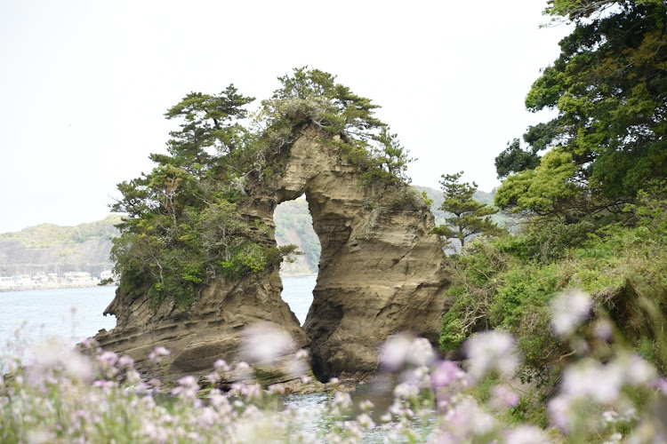 の投稿画像4枚目