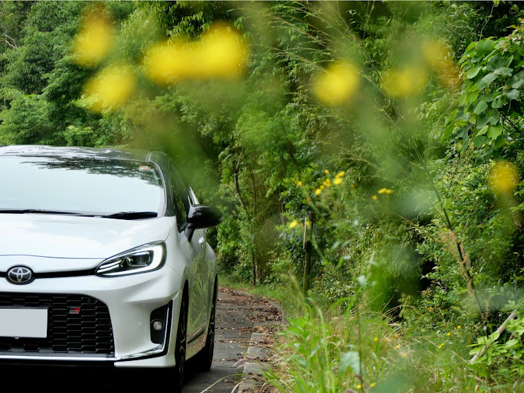 アクアの愛車の差し色・BLITZ NUR-SPEC VS・写活・紫陽花まだでした…・平日休みに関するカスタム事例の投稿画像2枚目