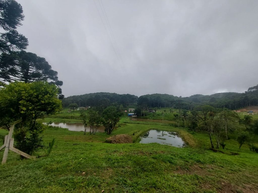 Chácaras à venda Centro