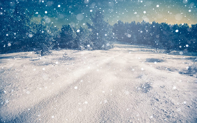 Snow Wallpaper