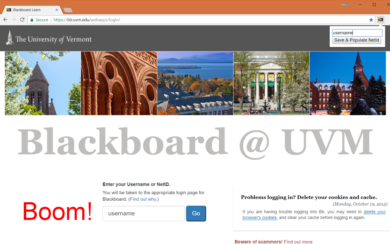 UVM Blackboard Autofill NetID Preview image 5