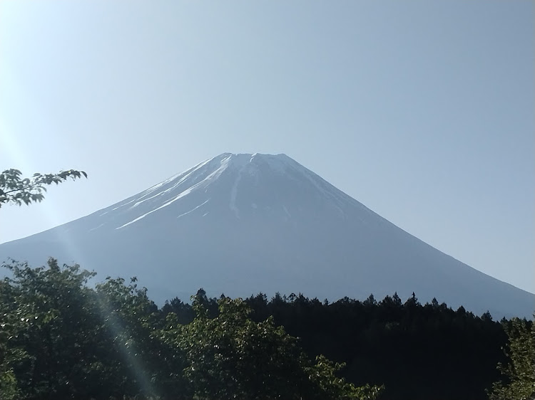 の投稿画像4枚目