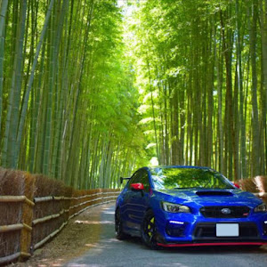 WRX STI VAB