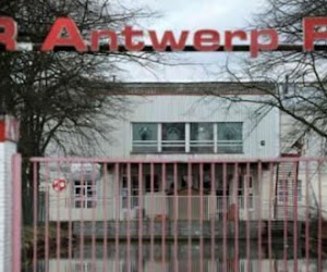 Antwerp moet enkel nog sportief de deur naar eerste klasse openbeuken, licentie is binnen