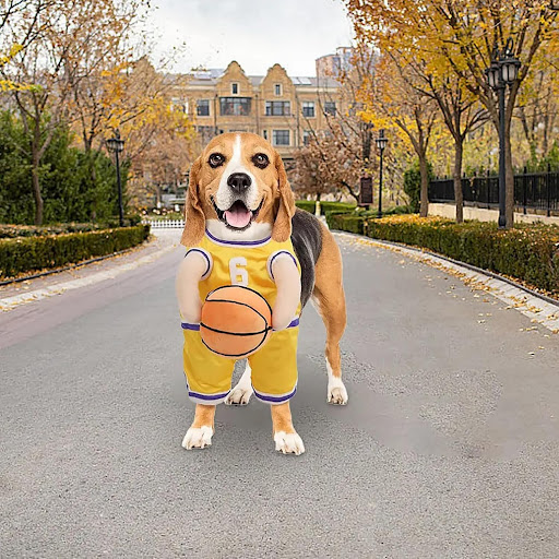 Title 3, Dog Basketball Player Costume, Halloween Funny ...