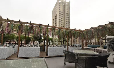 The Terrace