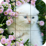 Cover Image of Télécharger Puzzle - kittens 1.27 APK