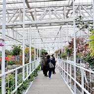 香草菲菲 芳香植物博物館