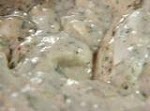 Homemade Ranch Dressing was pinched from <a href="http://www.foodnetwork.com/recipes/ree-drummond/homemade-ranch-dressing-recipe/index.html" target="_blank">www.foodnetwork.com.</a>