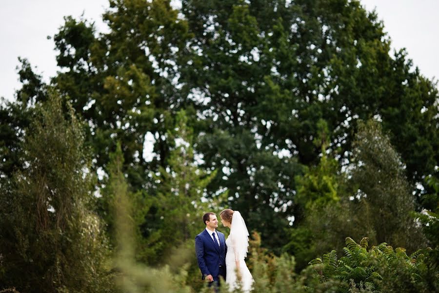 Fotógrafo de casamento Vladimir Shkal (shkal). Foto de 1 de junho 2016