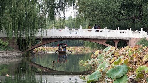 Bamboo Lake Beijing China 2015