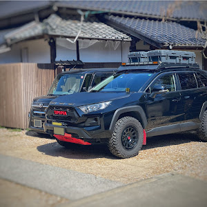 RAV4 MXAA54