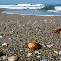 verso un bel tuffo in mare! di 