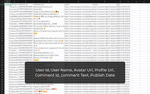 IG Comment Export Tool Preview 3