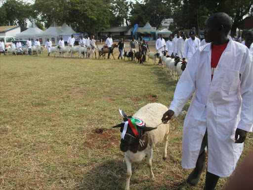 Farmers display their animals at the Mombasa International ACK Mombasa in 2015. President Uhuru Kenyatta officiated the ceremony /FILE