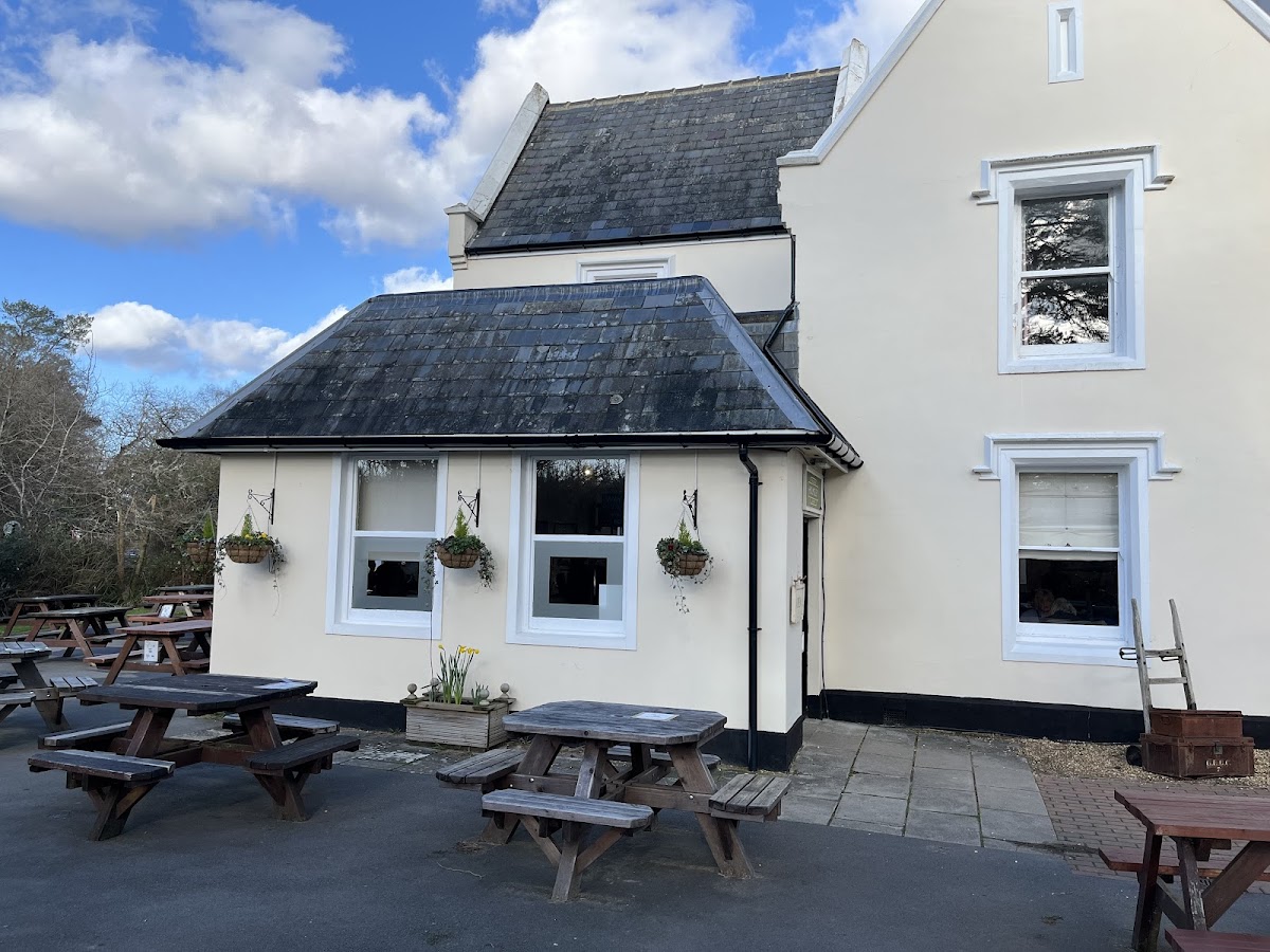 Gluten-Free at The Old Station Tea Rooms, Holmsley