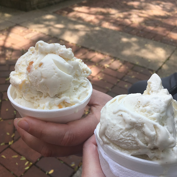 Peach on the left, vanilla on the right.  Each bowl has quite a few scoops in it!