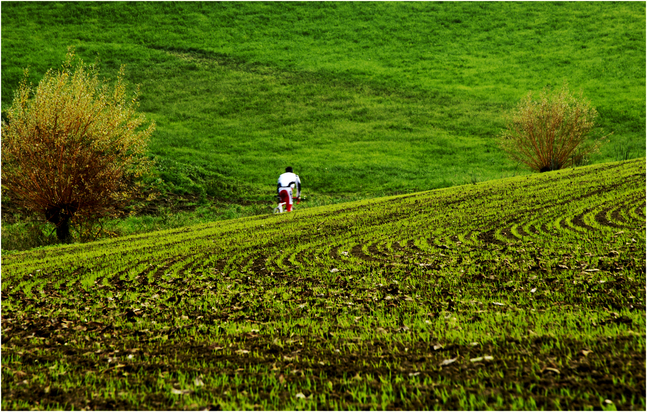 nature vive di Tolli