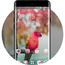 Herunterladen Theme for colorful lovely birds parrot wa Installieren Sie Neueste APK Downloader