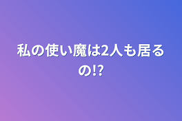 私の使い魔は2人も居るの!?