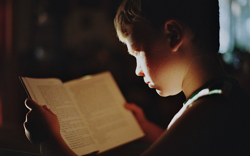 Boy reading book