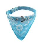 Type2 Linght Blue