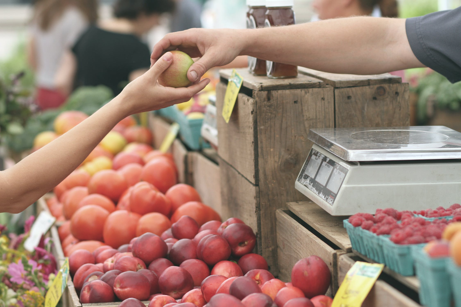 Farmers Market helps with an eco-friendly diet