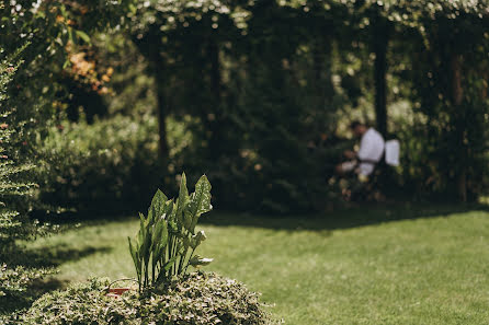 結婚式の写真家Marco Vegni (marcovegni)。2023 9月8日の写真