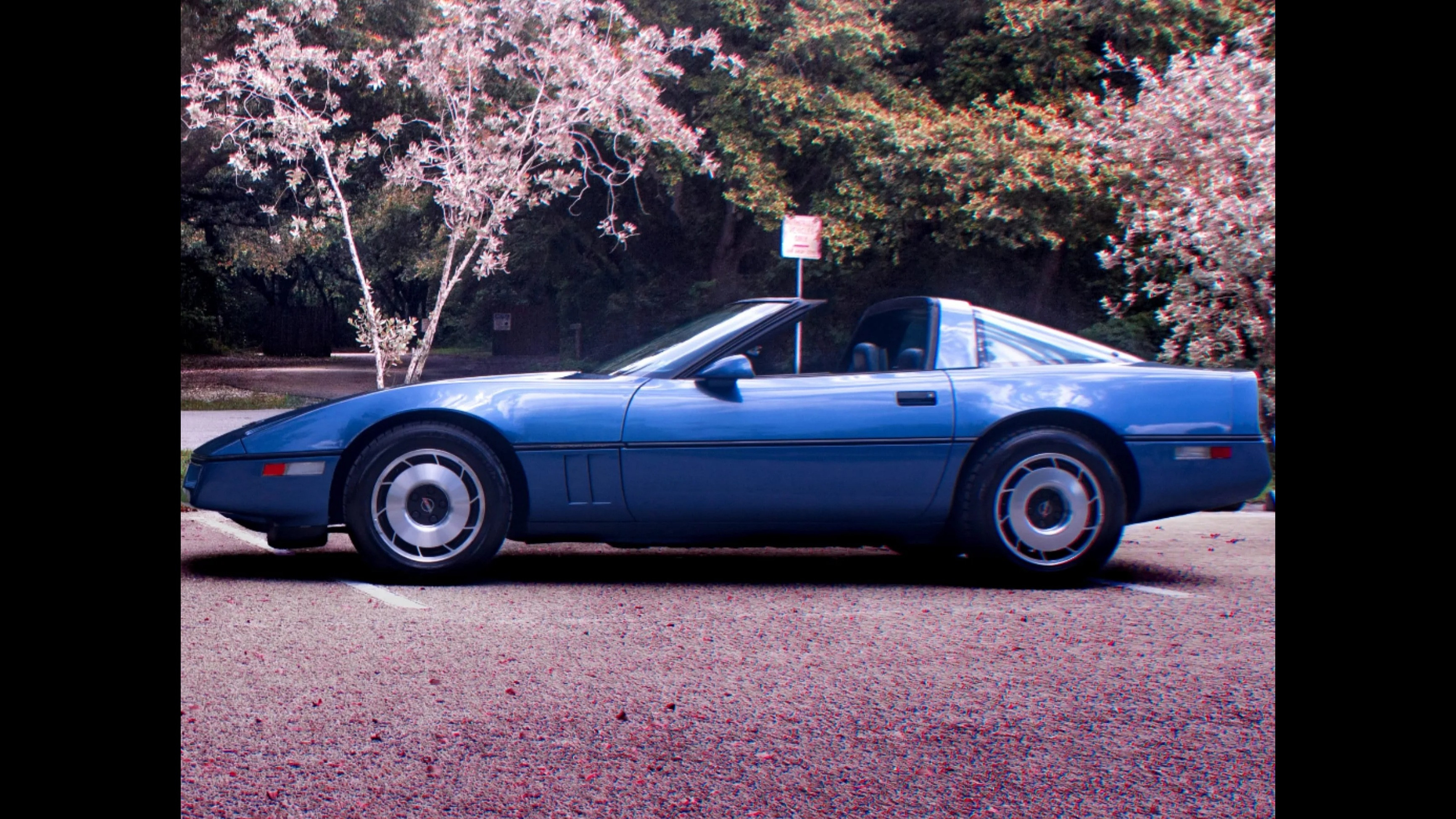 Chevrolet Corvette Hire Davie