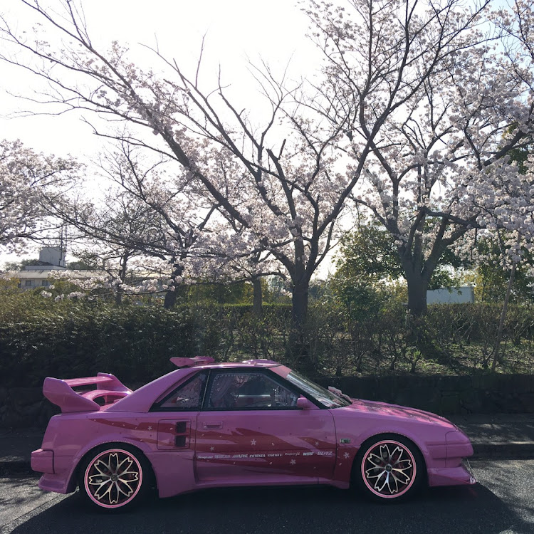 MR2の桜と愛車・桜・春ワンダー・MR2・桜とコラボに関するカスタム事例の投稿画像4枚目