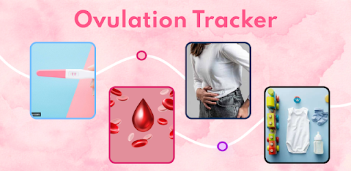 Ovulation Tracker & Calculator