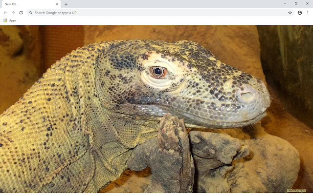 Komodo Dragon Wallpapers and New Tab