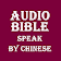 Audio BIBLE icon
