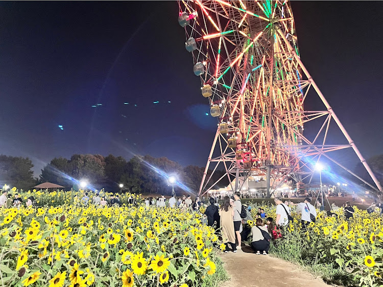 マカンの観覧車コラボ🎡・ひまわり🌻畑・お盆休み・夜のドライブ🚙に関するカスタム事例の投稿画像3枚目