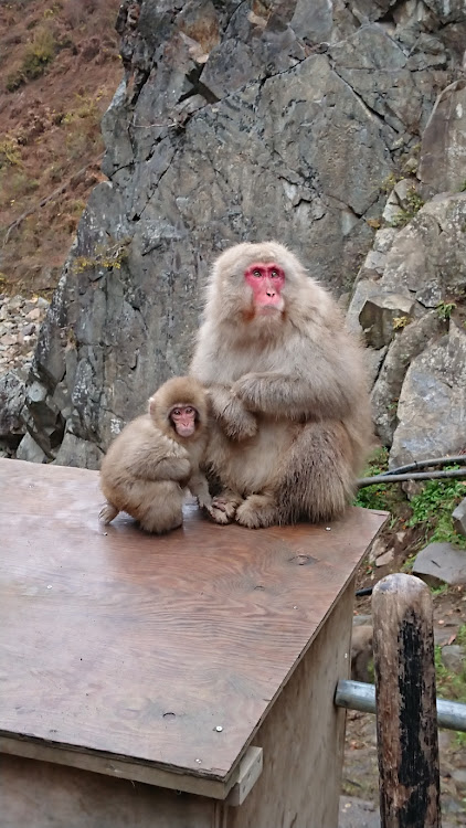 の投稿画像3枚目