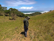 Guide Sinegugu Zukulu points out interesting plants along the way.