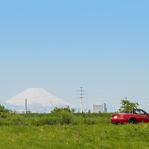 124スパイダー NF2EK