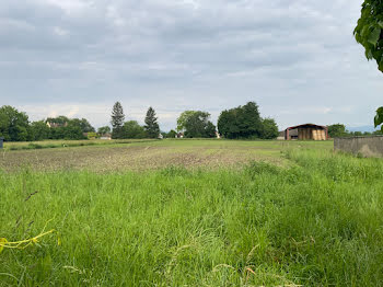 terrain à Sundhouse (67)