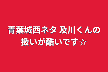 青葉城西ネタ 及川くんの扱いが酷いです☆