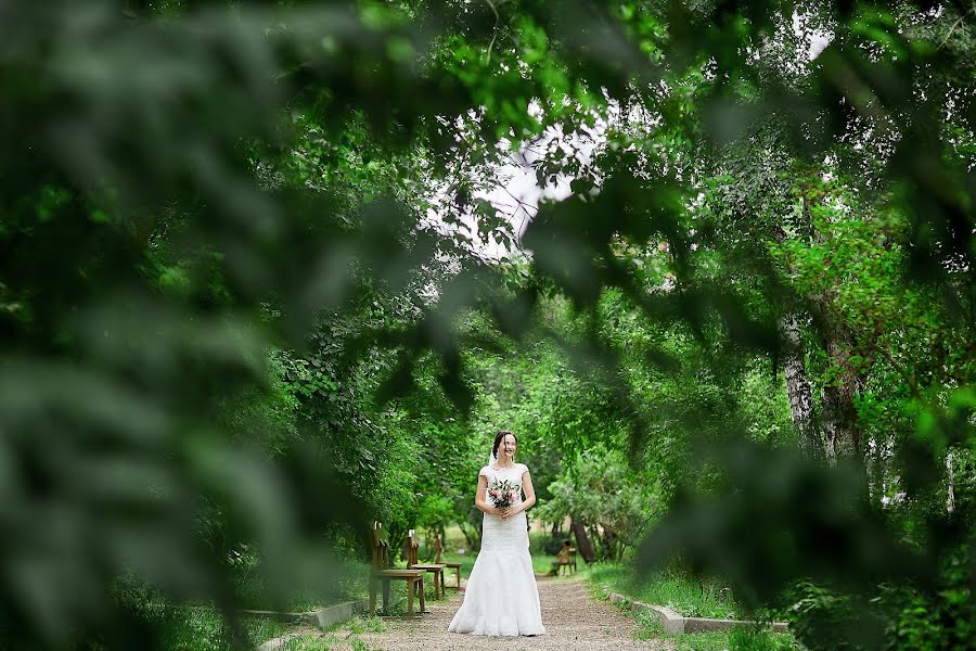 Wedding photographer Nataliya Dovgenko (dovgenkophoto). Photo of 28 November 2017