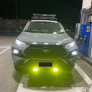 RAV4 MXAA54