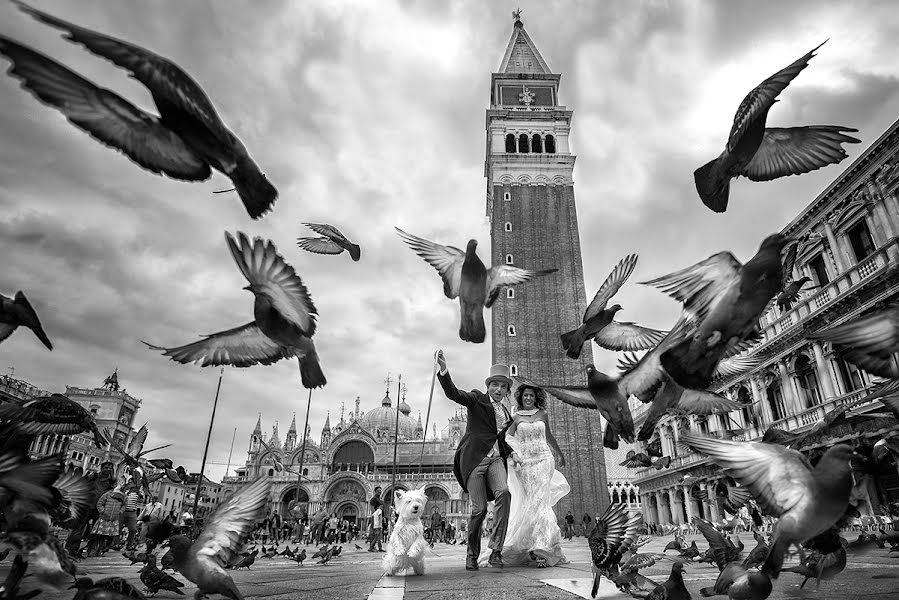 Fotografo di matrimoni Alessandro Colle (alessandrocolle). Foto del 12 maggio 2016