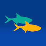 Cover Image of ดาวน์โหลด FishDonkey 1.1.1 APK