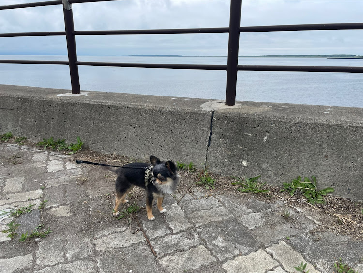 ランサーエボリューションのいつもいいねありがとうございます😊・とってもエボが好き・旅行中・夏の交通安全運動週間・移動オービスにきおつけましょうに関するカスタム事例の投稿画像3枚目